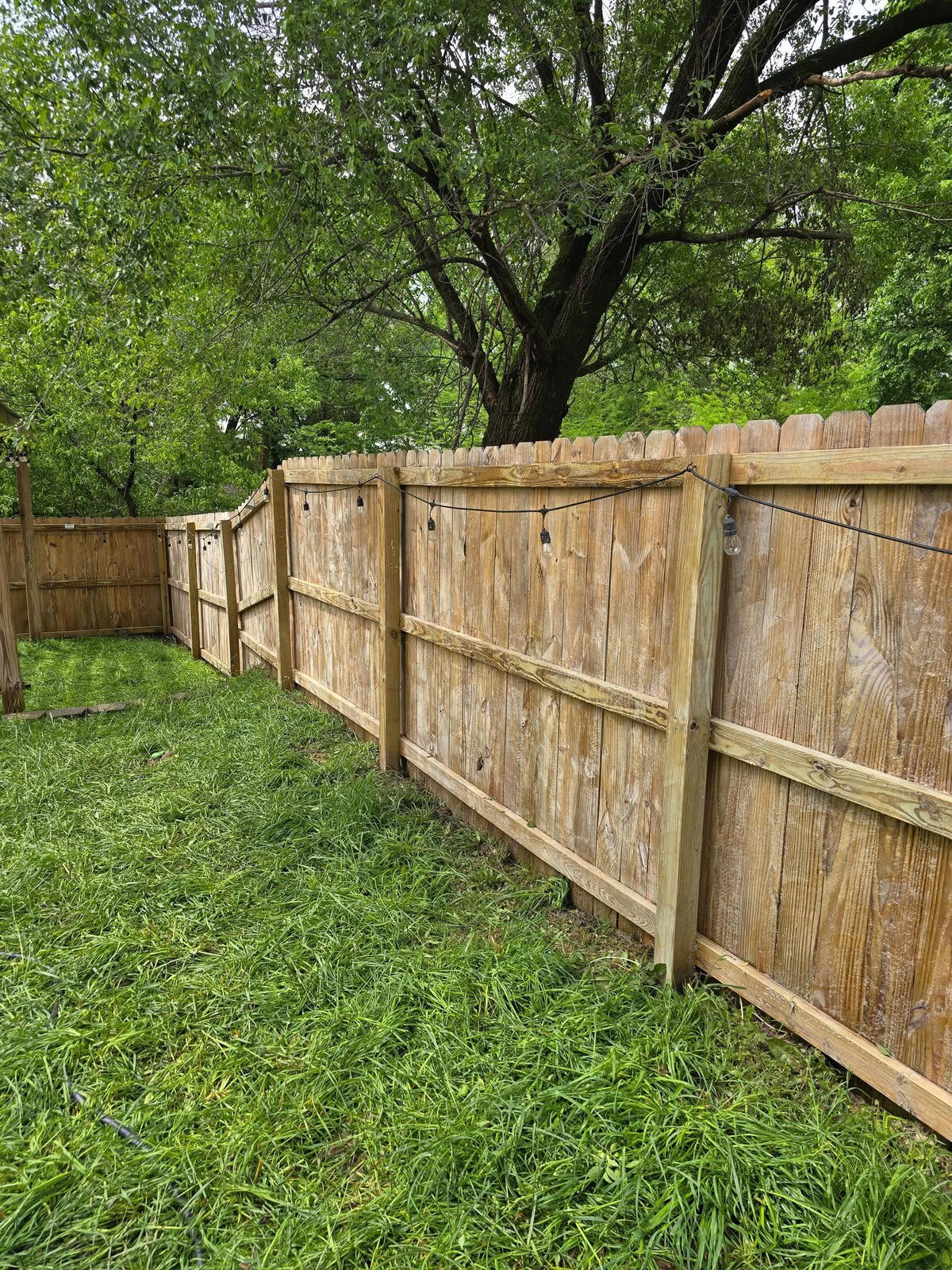 Fence Washing